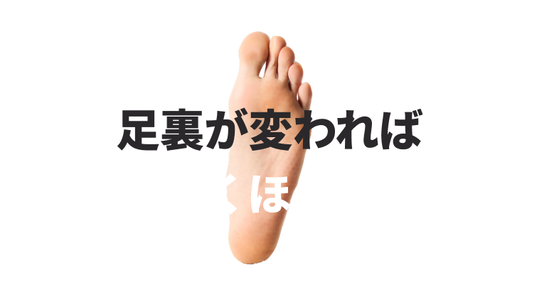 足裏が変われば身体は驚くほど進化する