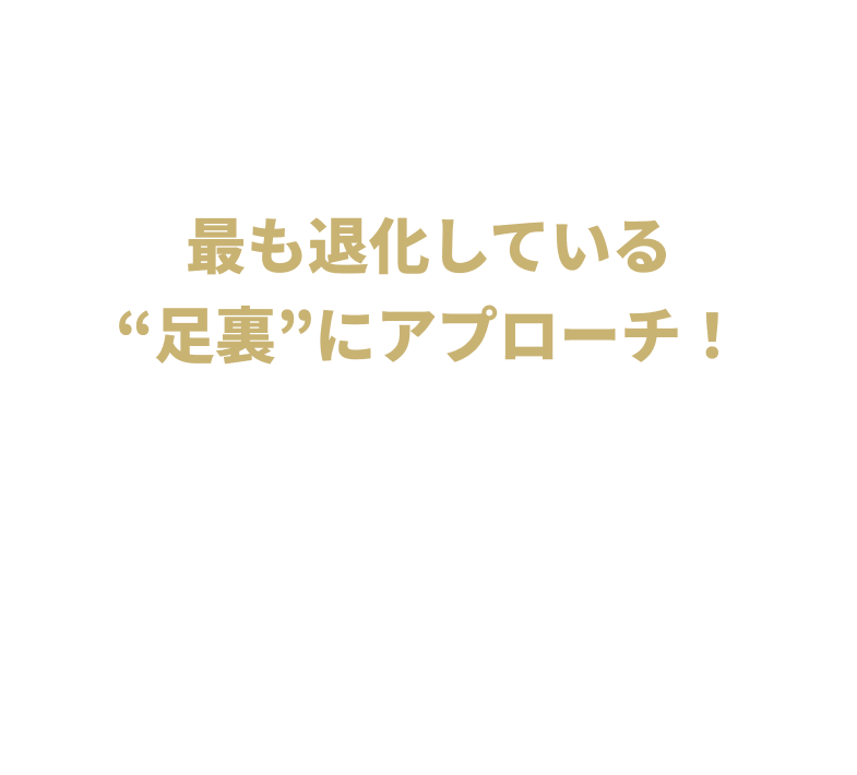現代人が最も退化している“足裏”にアプローチ！ 姿勢の乱れ、疲れやすさ、肩こり・腰痛──様々な身体の不調を抱える現代人のために開発！