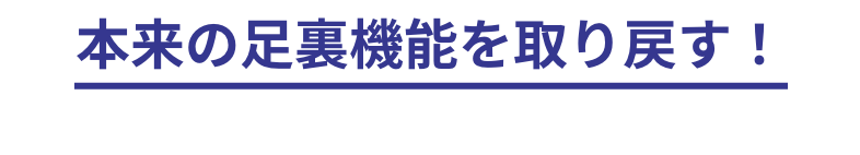 踵、足指、足裏アーチ、足裏ダイレクト