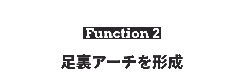 足裏アーチを形成