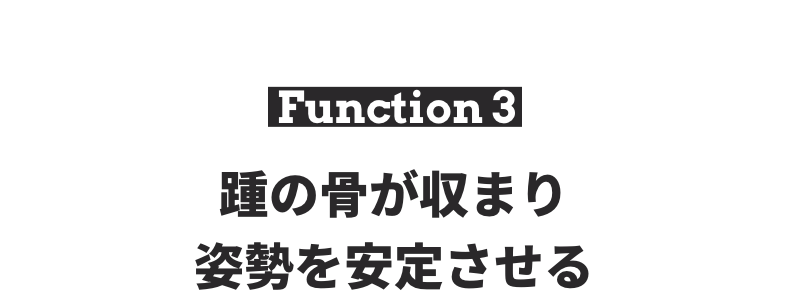 踵の骨が収まり姿勢を安定させる
