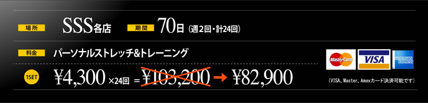 ストレッチダイエットプログラム価格