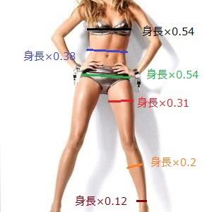 黄金比 株式会社sss スリーエス 兼子ただしのストレッチング専門スタジオsss